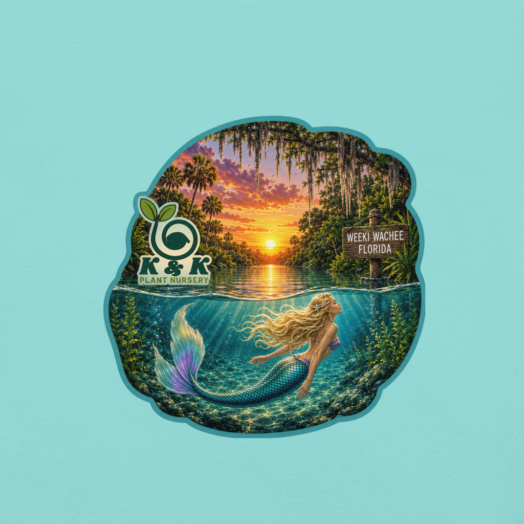 River Mermaid T-Shirt
